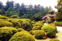 japon (195).jpg